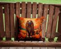 Afghan Hound Fall Throw Pillow Machine Washable, Indoor Outdoor Decorative Pillow for Couch, Bed or Patio, 14Hx14W